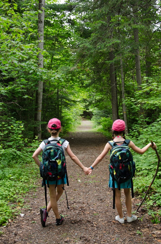 Child, Forest, Hiking, Walking, young children