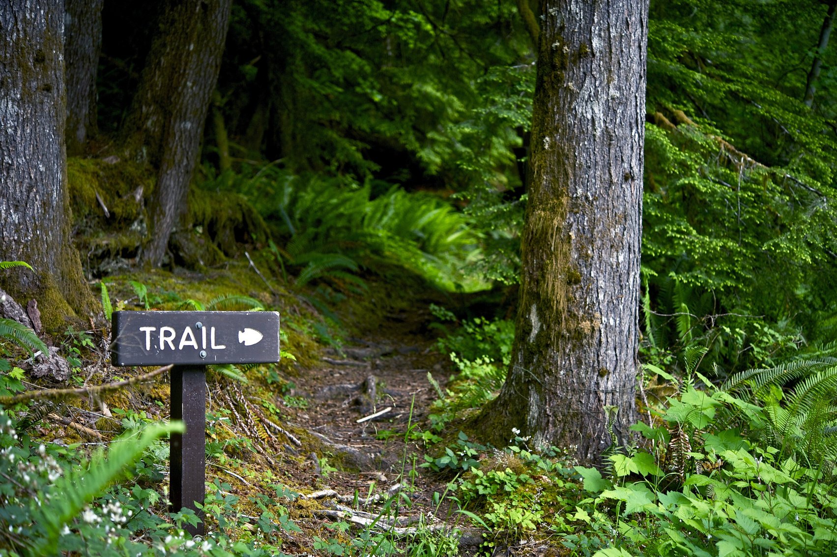 Trail Way Sign