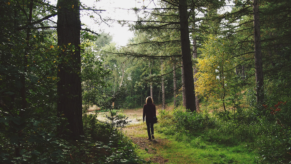 Woman Walking in a Forest